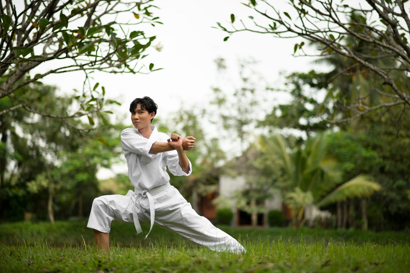 A martial artist in a white gi holds a deep front stance on grass outdoors.